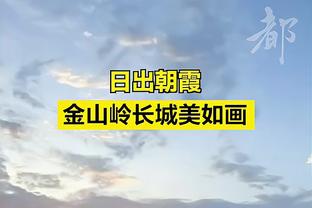 ?约库大战投票！詹杜卡均支持库里 克莱字母哥支持约内斯库！